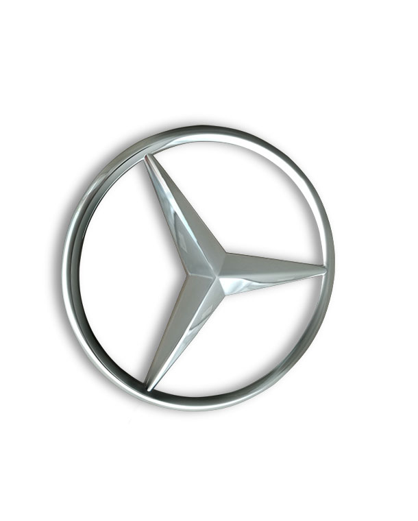 Custom Logo In Silver
